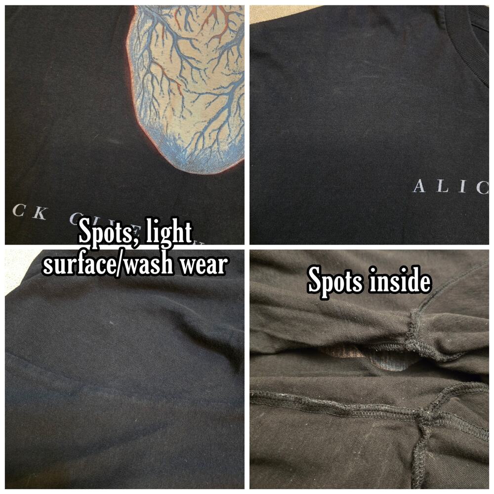 AiC Tshirt  XL Black Graphic Print Cotton Alice Chains Black Gives Way Blue 2010 - Picture 5 of 10